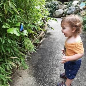 Meet your Posher, Letitia